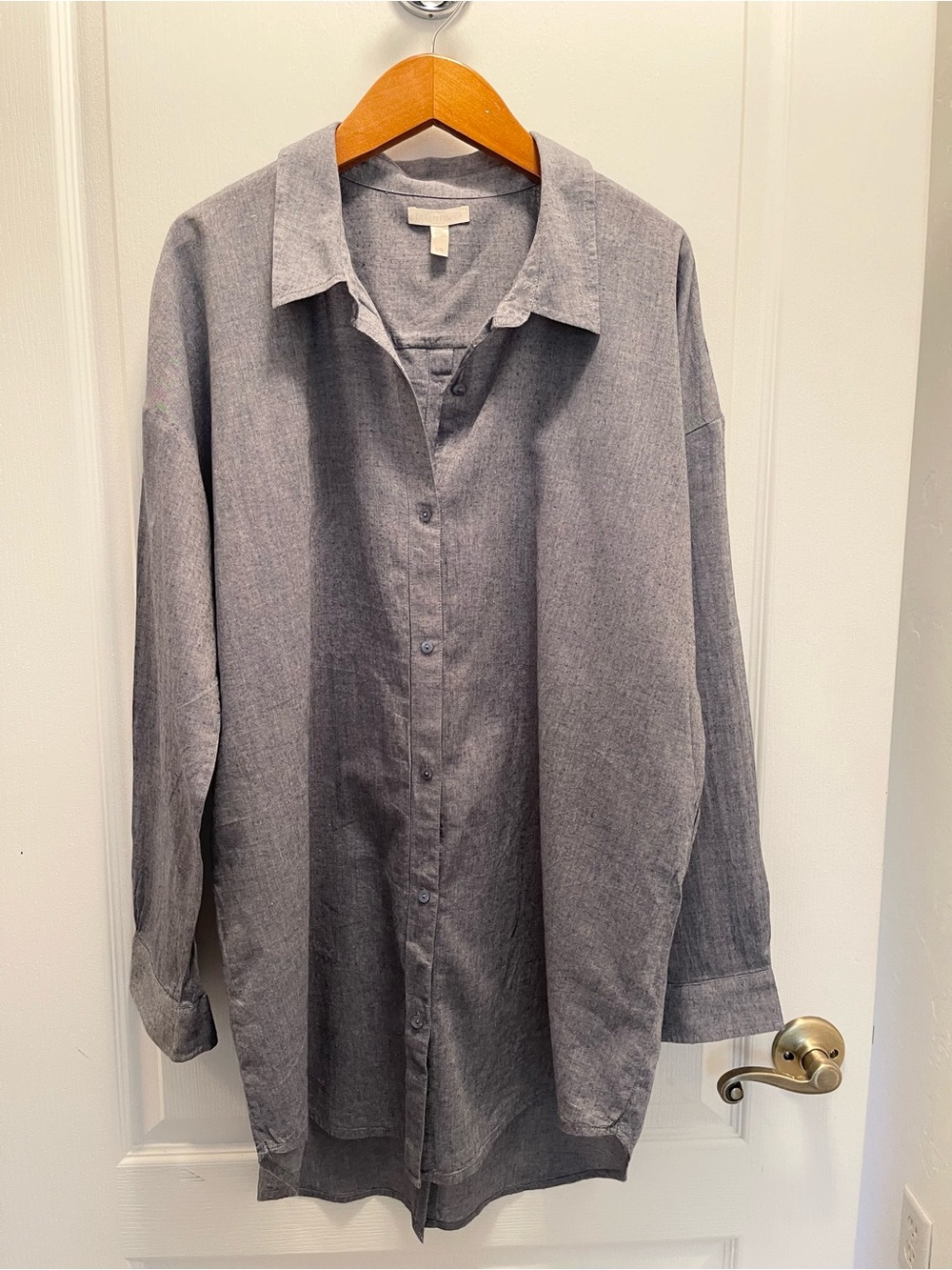 Eileen Fisher Blue Button-Up Oversized Shirt